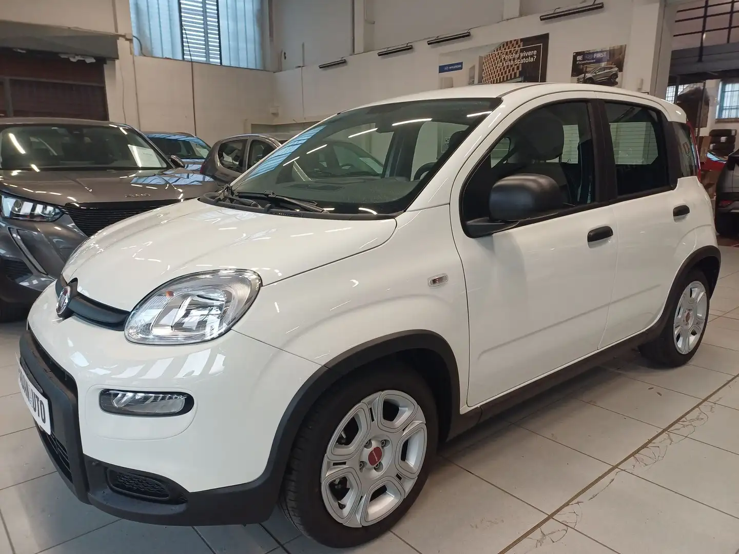 Fiat Panda Panda 1.0 FireFly S&S Hybrid Bianco - 2