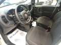 Fiat Panda Panda 1.0 FireFly S&S Hybrid Bianco - thumbnail 7
