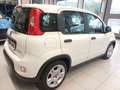 Fiat Panda Panda 1.0 FireFly S&S Hybrid Bianco - thumbnail 6