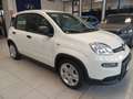 Fiat Panda Panda 1.0 FireFly S&S Hybrid Bianco - thumbnail 3