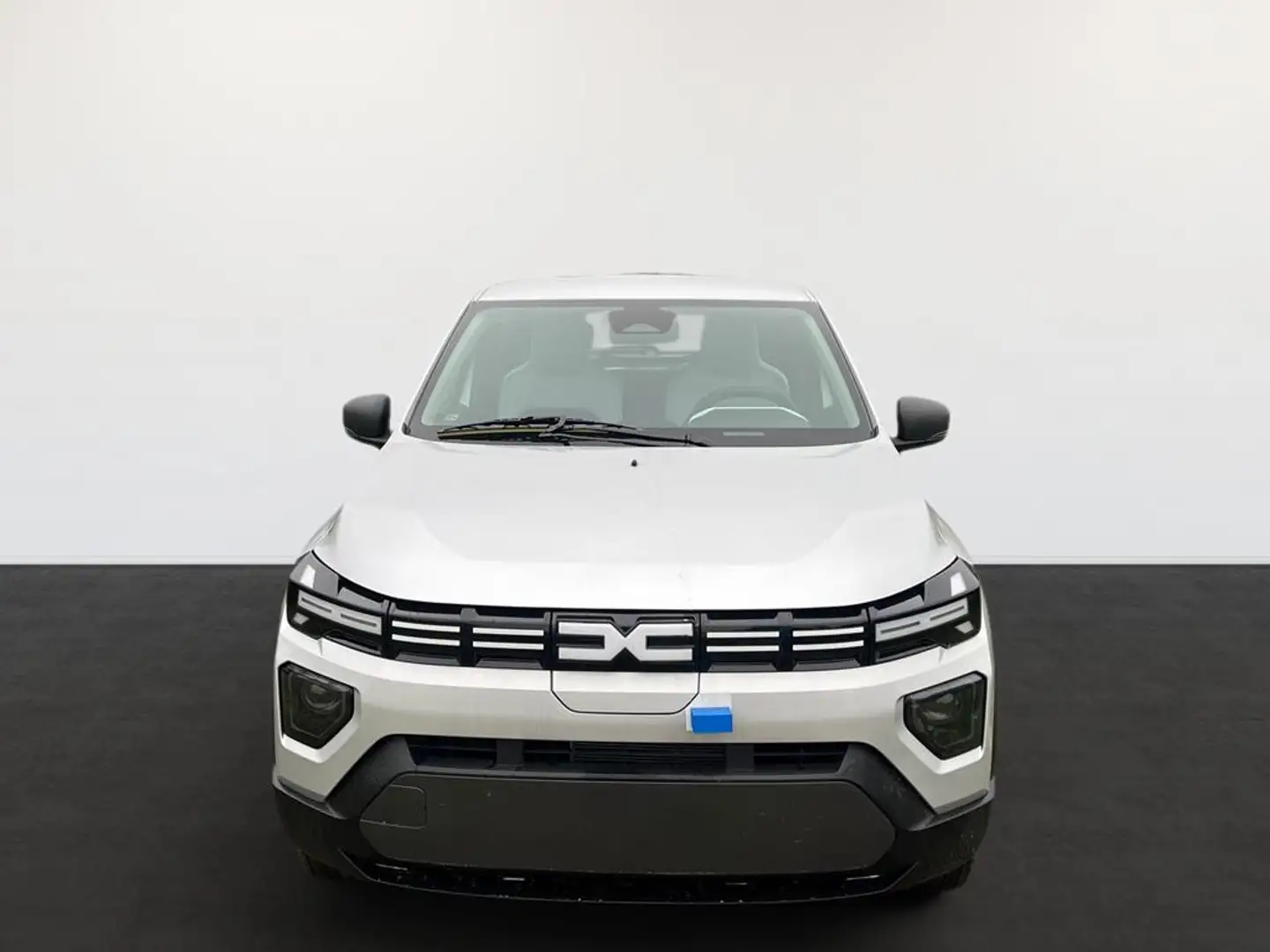 Dacia Spring Expression Electric 65 Grau - 2