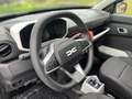 Dacia Spring Expression Electric 65 Grau - thumbnail 12