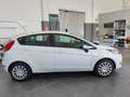 Ford Fiesta 1.2 16V 5 PORTE 82 HP*IKON* Blanc - thumbnail 19