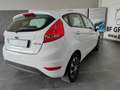 Ford Fiesta 1.2 16V 5 PORTE 82 HP*IKON* Blanc - thumbnail 34