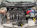 Ford Fiesta 1.2 16V 5 PORTE 82 HP*IKON* Blanc - thumbnail 12