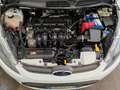 Ford Fiesta 1.2 16V 5 PORTE 82 HP*IKON* Blanc - thumbnail 13