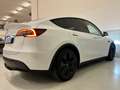 Tesla Model Y RWD - UNIPROP - 320 CV - AUTOPILOT AVANZATO Bianco - thumbnail 6