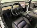 Tesla Model Y RWD - UNIPROP - 320 CV - AUTOPILOT AVANZATO Bianco - thumbnail 7