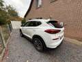Hyundai TUCSON Tucson 1.6 GDi 2WD Style Blanc - thumbnail 4