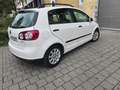 Volkswagen Golf Plus Golf Plus 1.6i 16v FSI On Tour Tiptronic - thumbnail 7