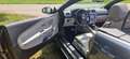 Volkswagen Eos Eos 2.0 TSI DSG Edition 2008 Grau - thumbnail 17