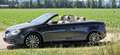 Volkswagen Eos Eos 2.0 TSI DSG Edition 2008 Grau - thumbnail 27