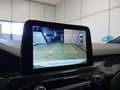 Ford Kuga ST-Line X 2.5 Duratec PHEV 165kW Auto Blanco - thumbnail 10