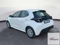 Toyota Yaris Yaris 1.5 Hybrid 5 porte Active Blanc - thumbnail 3