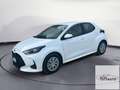 Toyota Yaris Yaris 1.5 Hybrid 5 porte Active Blanc - thumbnail 1