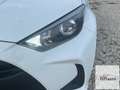 Toyota Yaris Yaris 1.5 Hybrid 5 porte Active Blanc - thumbnail 9