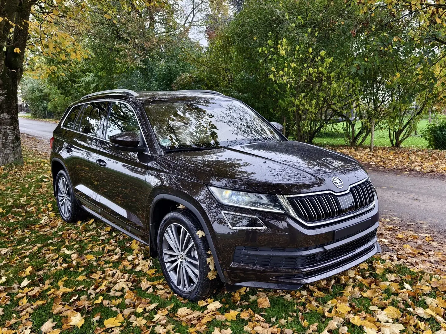 Skoda Kodiaq L&K 4x4 Braun - 2