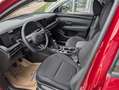 Hyundai TUCSON Tucson 1,6 T-GDI 48V 2WD Jubilé Rot - thumbnail 11