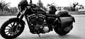 Harley-Davidson XL 883 IRON Zwart - thumbnail 7