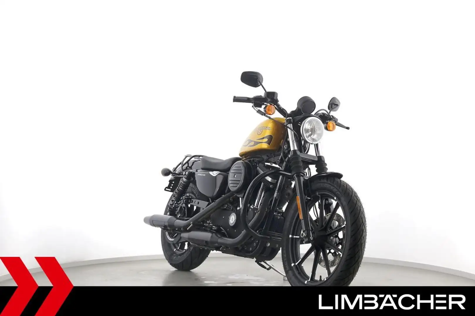 Harley-Davidson Sportster XL 883 IRON - Lieferung bundesweit! Золотий - 2