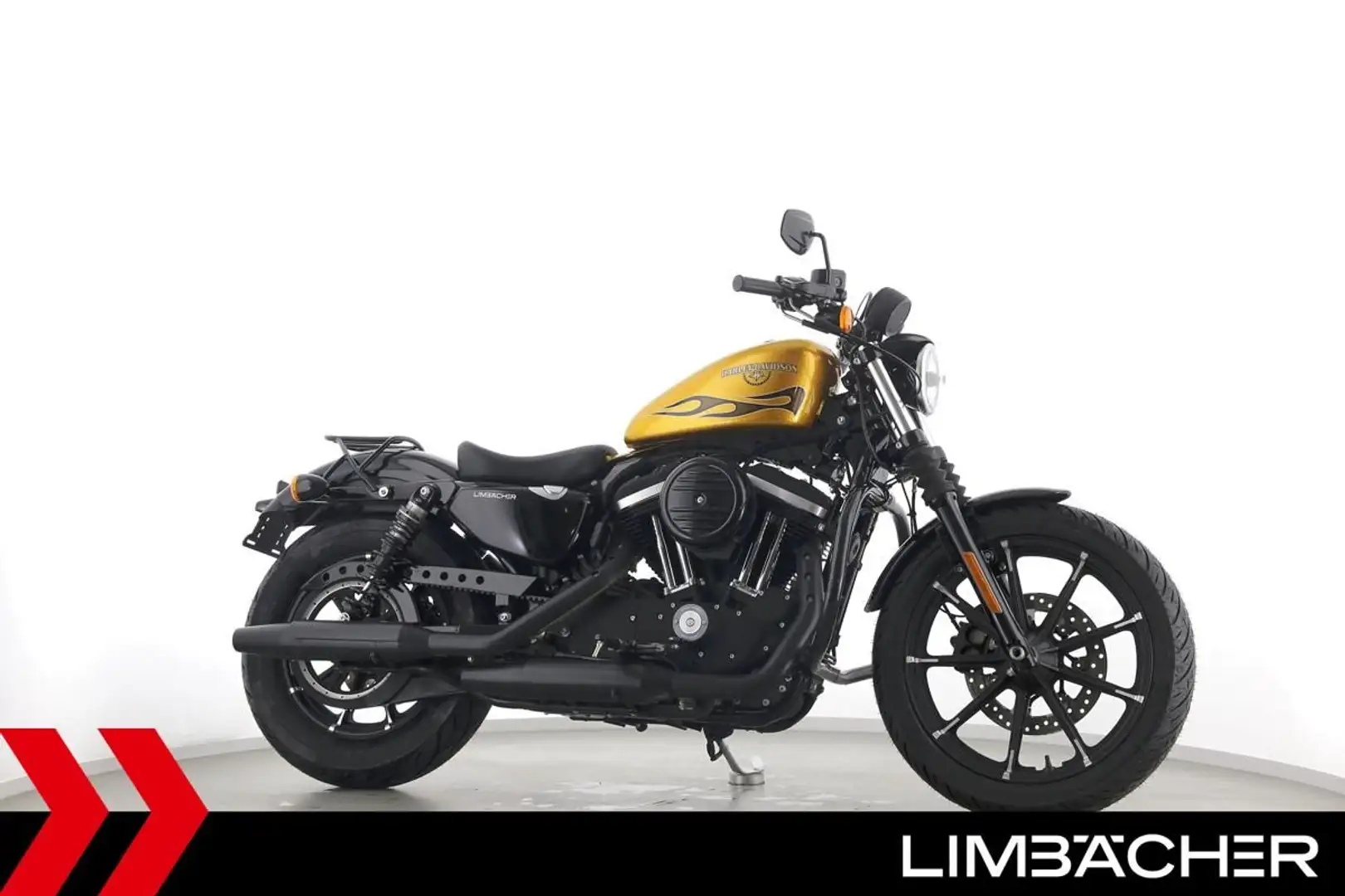 Harley-Davidson Sportster XL 883 IRON - Lieferung bundesweit! Золотий - 1