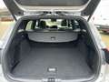 Ford Focus Turnier ST-Line X Head Pano B&O Winter Pak Silber - thumbnail 6