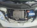Peugeot 107 1.0 12v Active (plaisir) 5p 2tronic FL Bianco - thumbnail 8