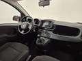 Fiat Panda 1.0 firefly hybrid s&s 70cv Alb - thumbnail 9