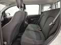 Fiat Panda 1.0 firefly hybrid s&s 70cv Alb - thumbnail 11