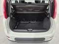 Fiat Panda 1.0 firefly hybrid s&s 70cv Alb - thumbnail 12