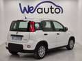 Fiat Panda 1.0 firefly hybrid s&s 70cv Alb - thumbnail 4
