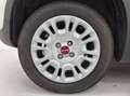 Fiat Panda 1.0 firefly hybrid s&s 70cv Alb - thumbnail 5