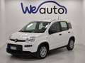 Fiat Panda 1.0 firefly hybrid s&s 70cv Alb - thumbnail 3