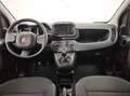 Fiat Panda 1.0 firefly hybrid s&s 70cv Alb - thumbnail 8
