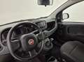 Fiat Panda 1.0 firefly hybrid s&s 70cv Alb - thumbnail 7