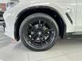BMW X4 xDrive 20dA Weiß - thumbnail 33