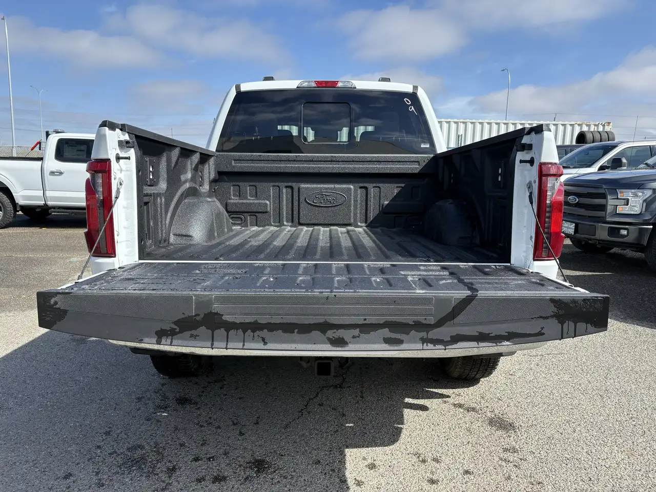 Ford F 150 снимка Ford F 150
