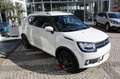 Suzuki Ignis 1.2 Dualjet 4WD All Grip Top Blanc - thumbnail 5