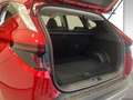 Hyundai TUCSON Tucson NX4 GO 1,6 T-GDi 4WD DCT t6bg3-OO4 Rot - thumbnail 12