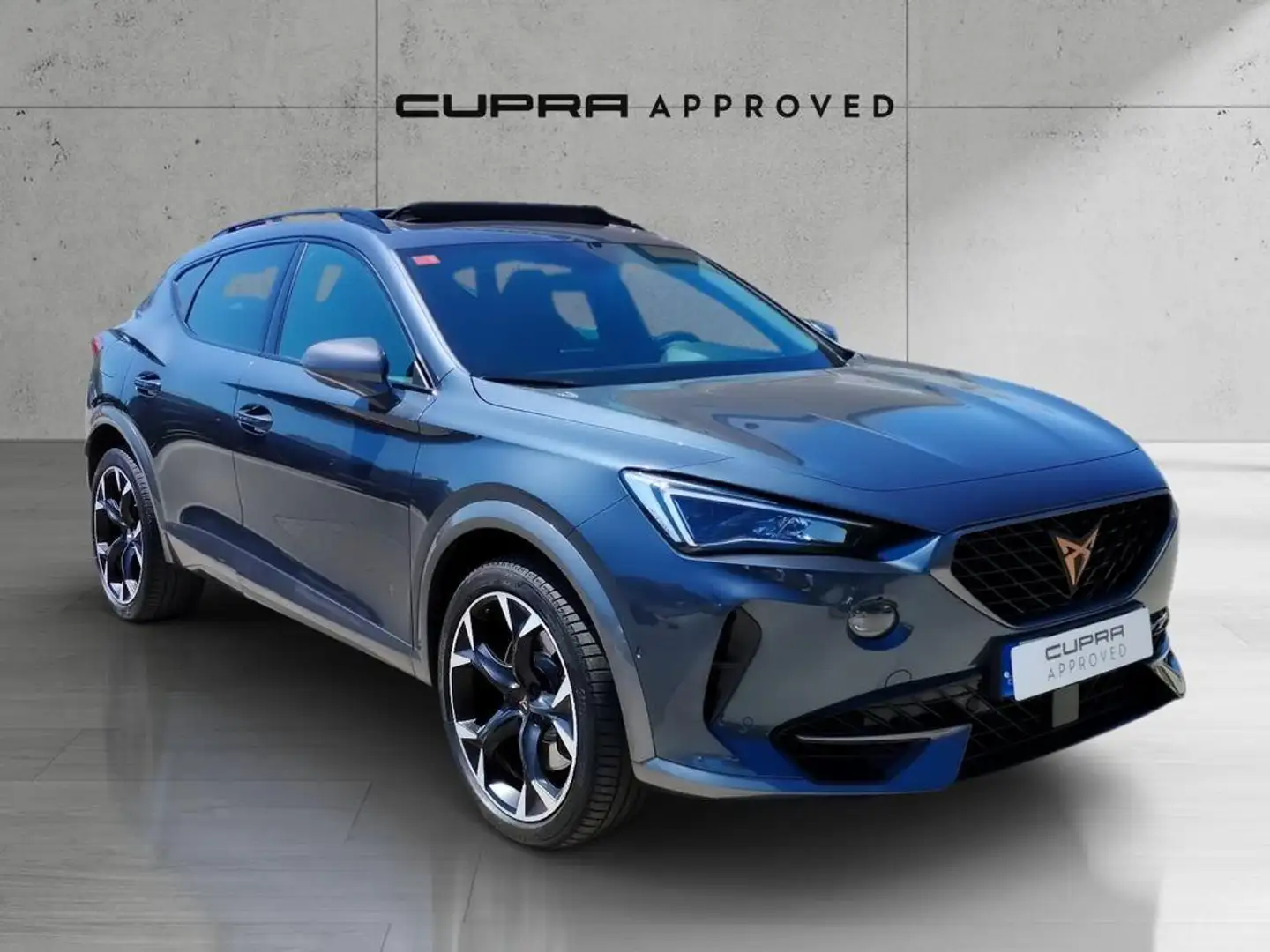 CUPRA Formentor 2.0 TSI 310 VZ DSG 4Drive Gris - 1