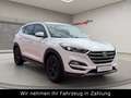 Hyundai TUCSON Style 4WD 2.0 CRDI-185PS-AHK-Allrad-LED Weiß - thumbnail 1