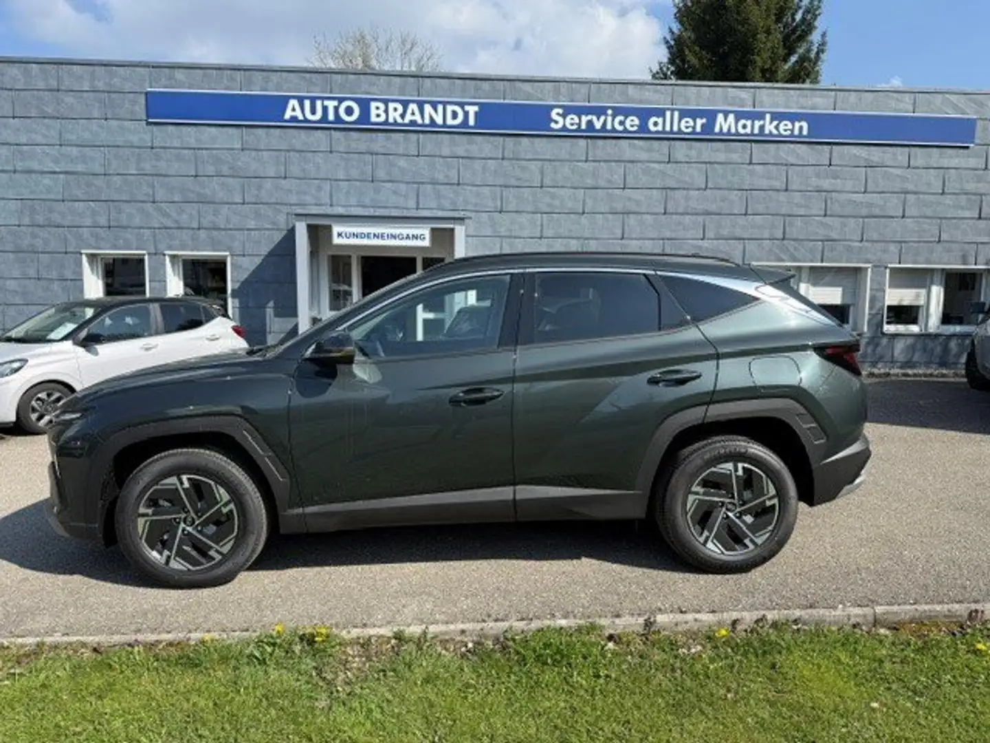 Hyundai TUCSON Tucson 1,6 T-GDI HEV Jubilé Aut. ALLRAD Grün - 2