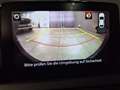 Mazda MX-5 Selection G-184 Navi/6GS/Bose/Kamera/Klimaautom. Grau - thumbnail 16