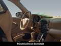 Porsche 911 996 Turbo Schalensitze Savannabeige-Leder Blauw - thumbnail 23