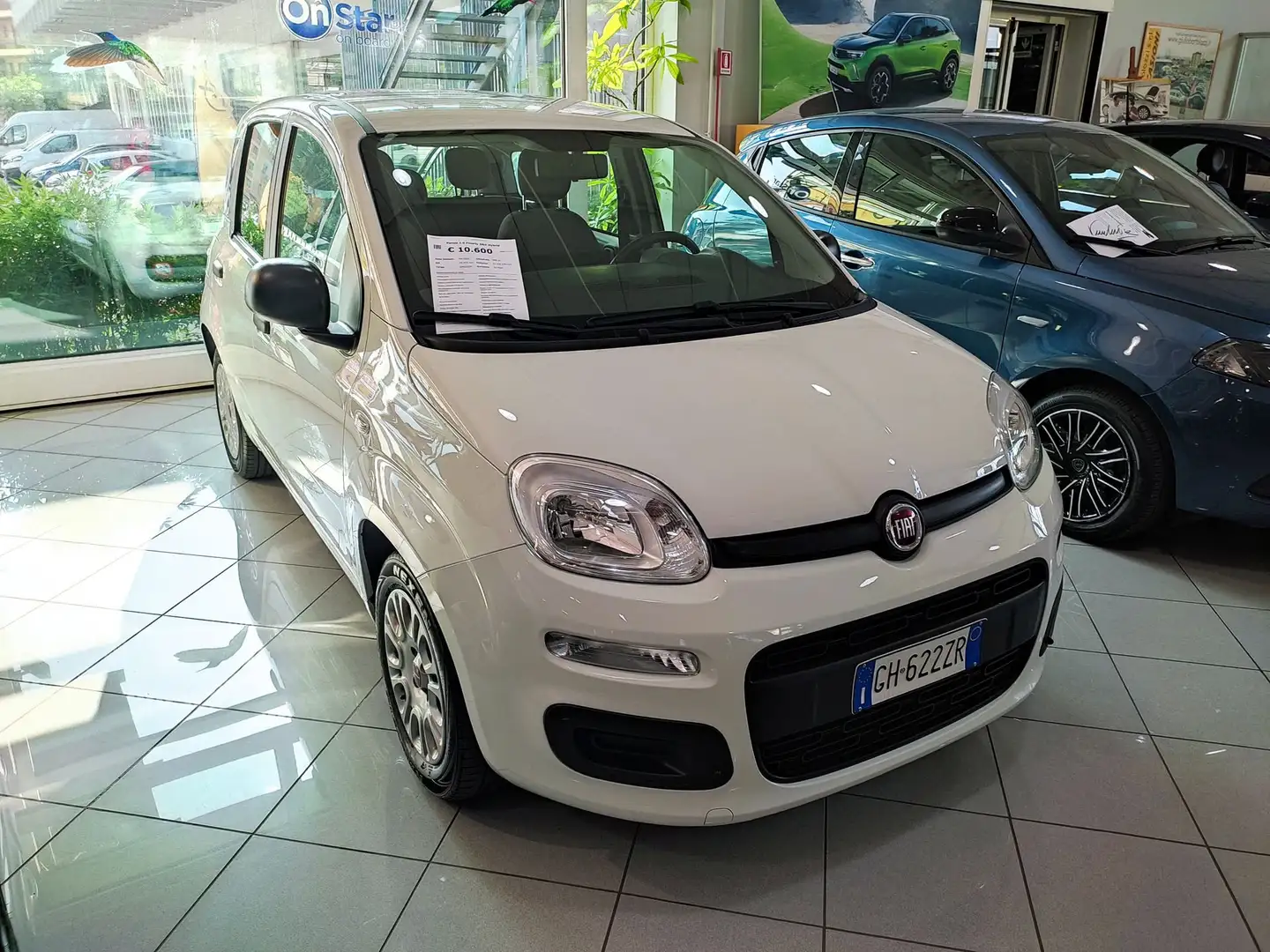 Fiat Panda 1.0 FireFly S&S Hybrid Bianco - 2