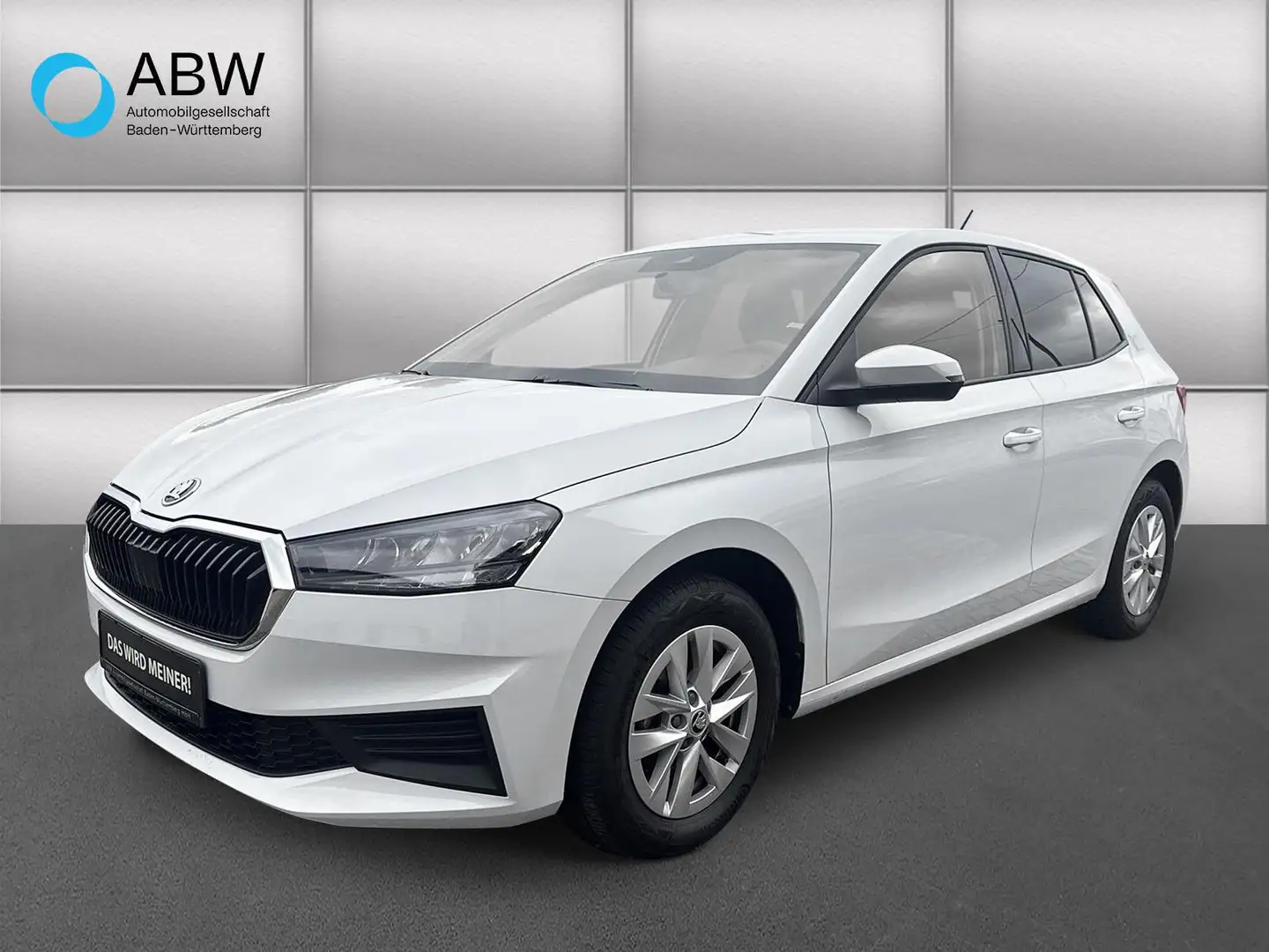 Skoda Fabia 1.0 TSI LED Einparkhilfe Blanco - 1