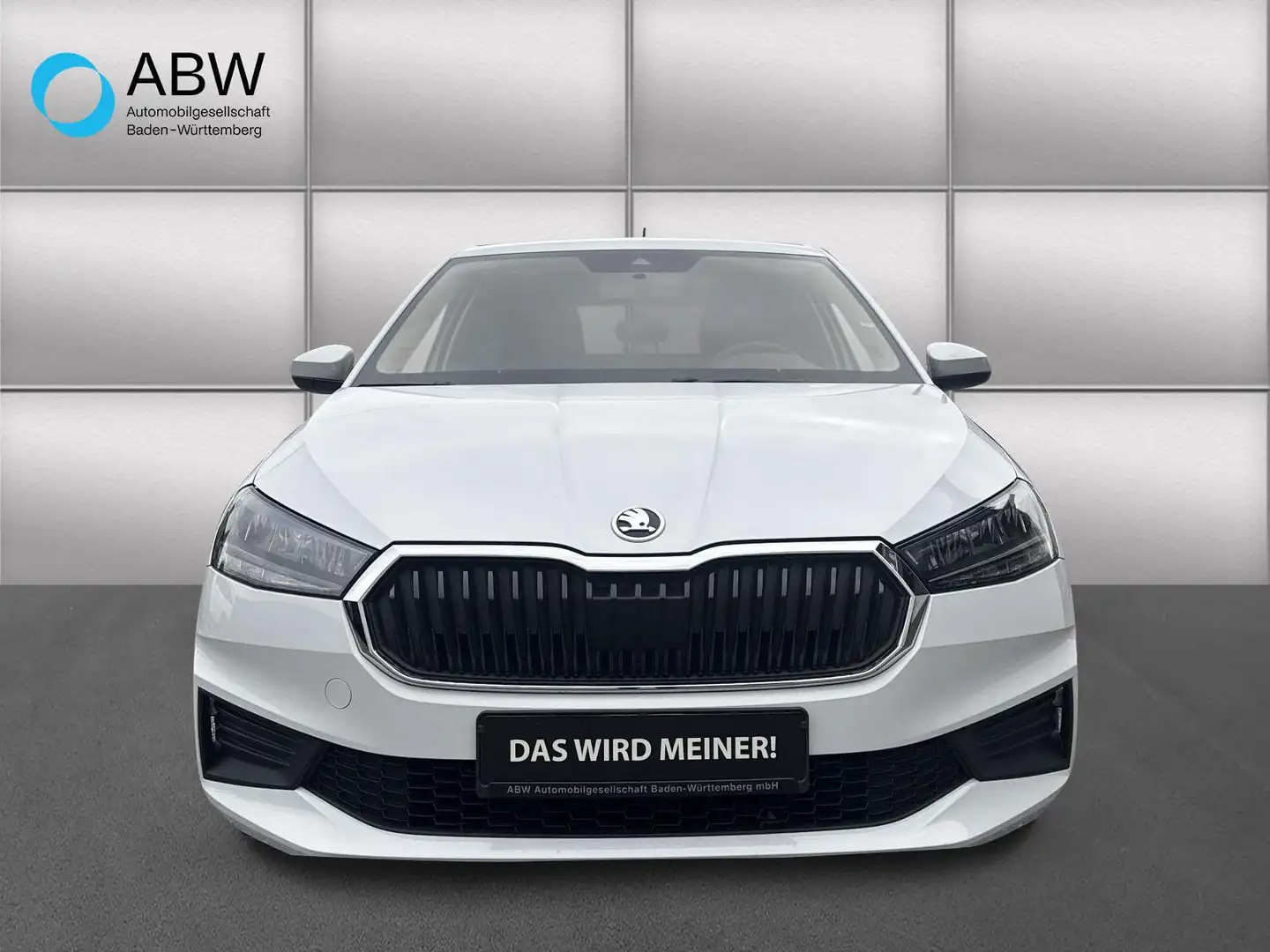 Skoda Fabia 1.0 TSI LED Einparkhilfe Blanco - 2