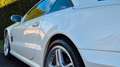 Mercedes-Benz SL 55 AMG SL55 Premium Jahreswagzust. www.fahrwerk-cars.de Blanco - thumbnail 10