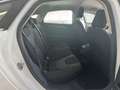Ford Mondeo 1.5 Ecoboost Trend Blanco - thumbnail 13