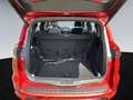 Ford S-Max Full-Hybrid ST-Line - Kamera*Pano*Memory Rojo - thumbnail 15